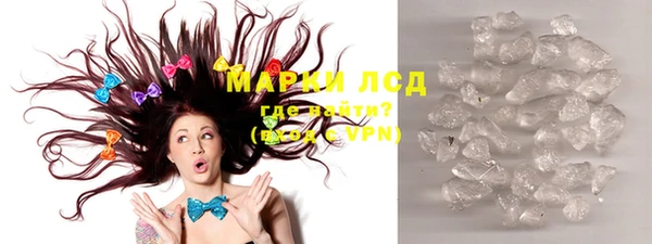 стаф Аркадак