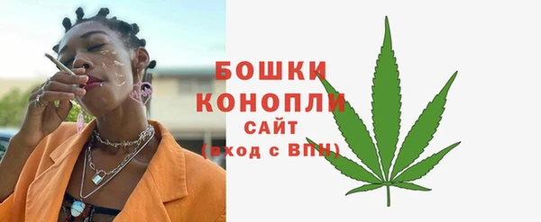 стаф Аркадак