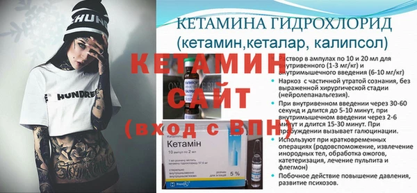 стаф Аркадак