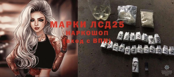 стаф Аркадак