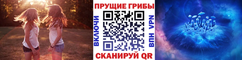 ссылка на мегу зеркало  Павловск  Галлюциногенные грибы мицелий  купить закладку 